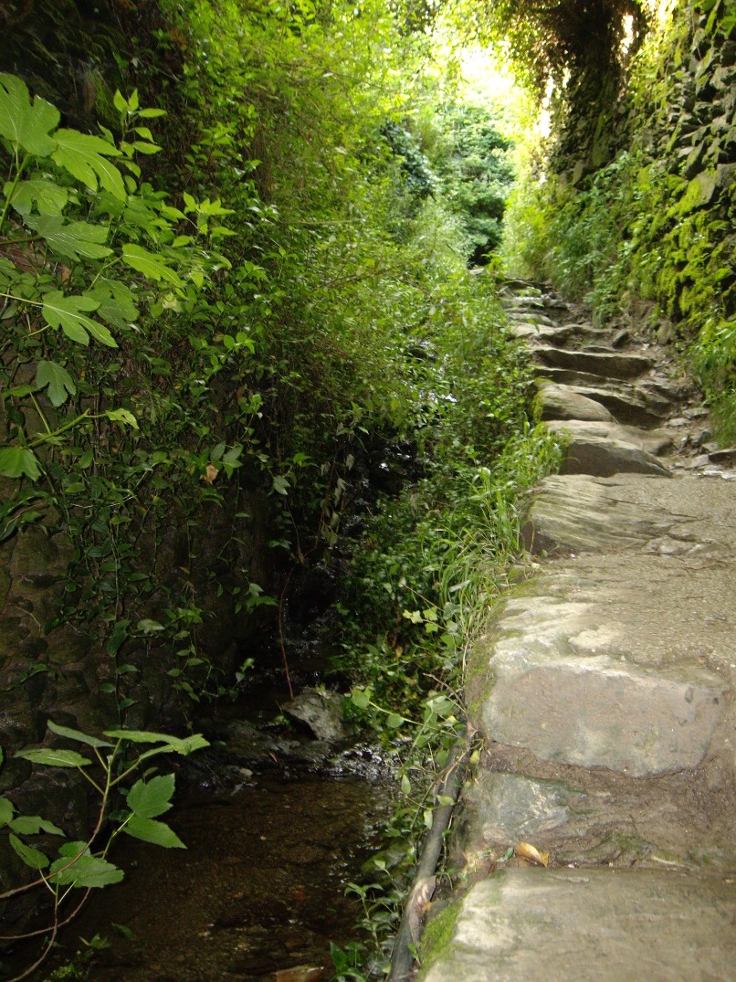 Stream on Path to Monterosso